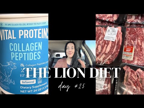 31 Day LION DIET Challenge | Day 25 Vlog & Encouragement