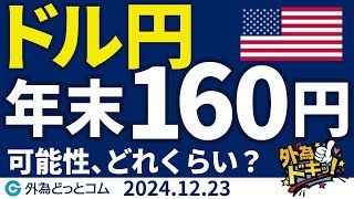 ドル円見通し 年内に160円到達の可能性はどれくらいか（今日から今週のFX予想）2024/12/23　#外為ドキッ