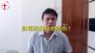 20200525 每日 | 如何走出你的悲伤？