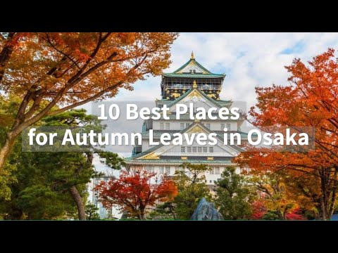 10 Best Places for Autumn Colors in Osaka - LIVE JAPAN