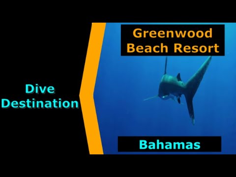 Diving Bahamas, Greenwood Beach, Destination Spotlight for Scuba.Digital The #1 Online Dive Show