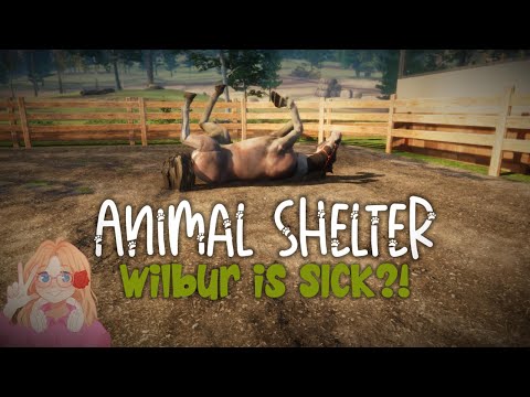 WILBUR IS SICK?! | • Animal Shelter #11 • |