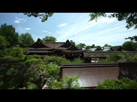 4K KYOTO [viewTV-81] 北野天満宮 青もみじ”Kitano Tenmangu Shrine, fresh verdure green"