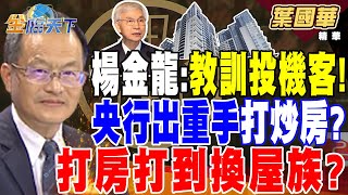 【精華】楊金龍：教訓投機客！央行出重手打炒房？ 史上最嚴限貨令＂往死裡打＂？打房打到換屋族？ #葉國華 @tvbsmoney 20240920