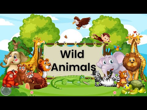 Wild Animals Names & Sound | English Kids vocabulary | Nursery Kids Video  | Kinder roots