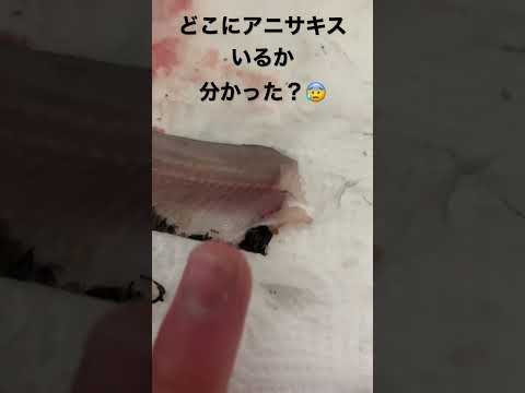 今日釣ってきたマイワシにアニサキスが居たんだけどどこに居るか分かった？😰