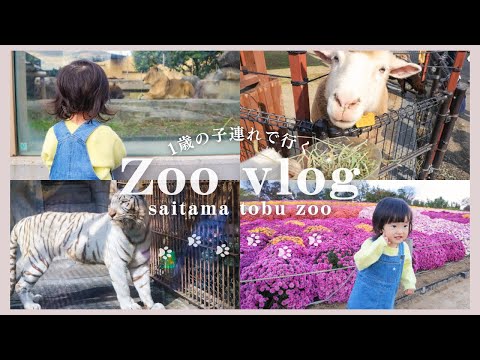 【vlog】子連れ動物園の1日/1歳11ヶ月の赤ちゃんと行く東武動物公園(埼玉)tobu zoo