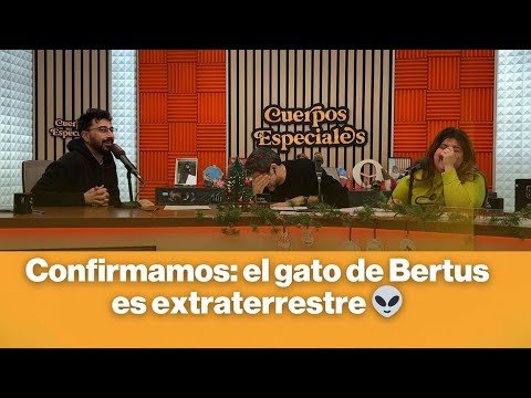 Confirmamos: el gato de Bertus es extraterrestre 👽