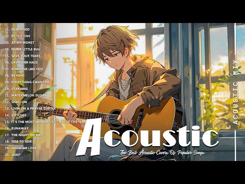 Best Acoustic Cover - Chill Acoustic Love Songs Playlist 2024 - Top songs 2024 new popular songs