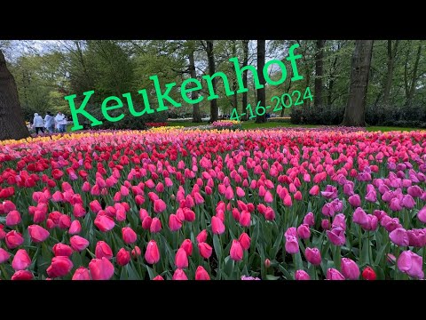 Keukenhof Tulip Garden on 4-16-2024 / 庫肯霍夫鬱金香公園ㄧ日遊