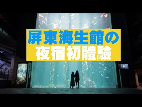 【夜宿海生館初體驗】魟魚哥真的太療癒啦！國立海洋生物博物館 | JUMP NBJ | #VLOG 72