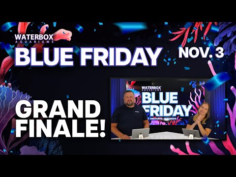 Blue Friday Finale | Announcing Grand Prize Winners!