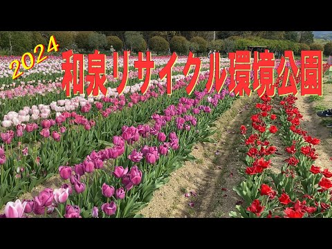 和泉リサイクル環境公園 (2024.04.13)