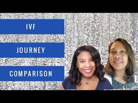 IVF Journey Comparison | Phillips Fam Baby Journey