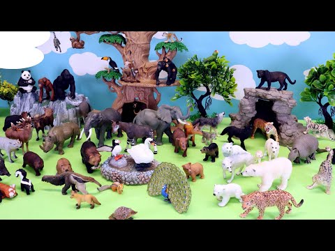 Safari Animal Figurines - Learn Animal Names