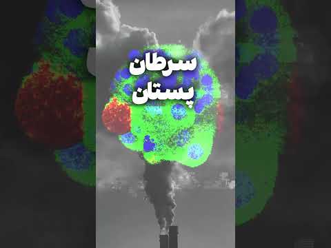 بفرمایید هر روز سم!