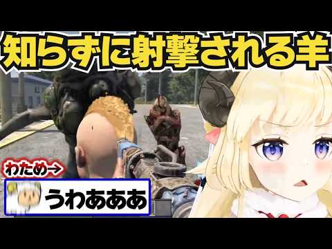 【2視点】敵と戦ってたら白上フブキに近距離からヘッドショットされてしまうわため【角巻わため/ホロライブ切り抜き】