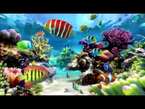 Dream Aquarium Relaxing Fish Tank For Focus | Water Sounds Only No Music | 3 Hours