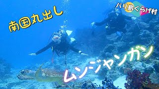 【バリ島ダイビング】海はもちろん、この空気感も味わってほしい！のんびりと楽しめるムンジャンガンサファリダイビングツアー！