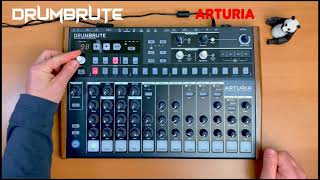 Arturia DrumBrute Pure Analog Beats