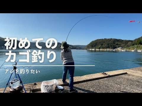 奥さん初めてのカゴ釣りでアジを釣る