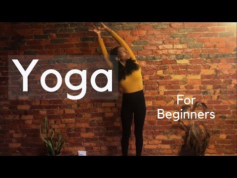 YOGA FOR ACTUAL BEGINNERS  | 15 MINUTE HOME YOGA ROUTINE