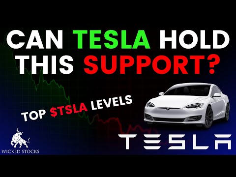 Tesla Stock Price Analysis | Top Levels To Watch for December 20th, 2024