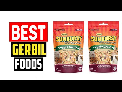 ✅Best Gerbil Foods of 2023