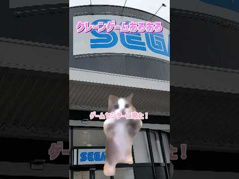 クレーンゲームあるある猫ミームver. #クレーンゲーム #猫ミーム #猫マニ