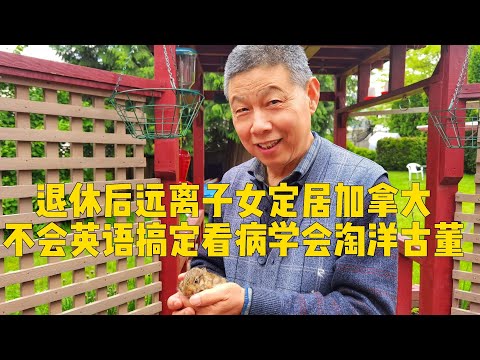 退休后定居加拿大，远离国内子女，只为探索另一种老年生活