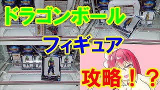 【万代書店高崎店】同じ箱だけど動きが違う！？ドラゴンボールのピッコロとガンマ1号とガンマ2号に挑戦してきた！！