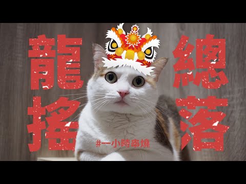 [1小時串燒] 新年龍總搖起來🐉｜Equal in the Darkness、劈你的雷正在路上 、野蠻遊戲、BUZZ、城市救星、哪個胖子、逃或瘋掉、任意門｜白爛畫動畫歌詞/Lyric Video