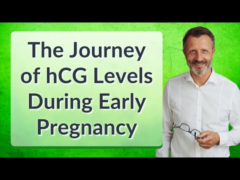 The Journey of hCG Levels During Early Pregnancy