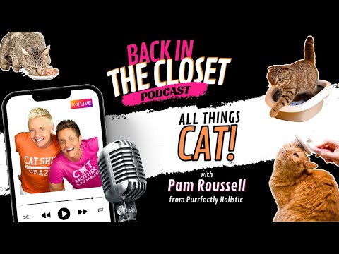 All Things CAT with Purrrfectly Holistic | Back In The Closet