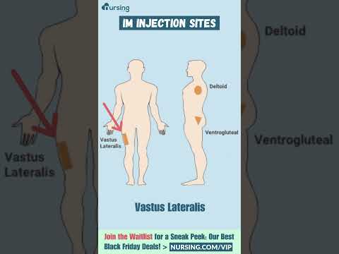 IM Injection Sites- Nursing Skills #shorts #Scrubcheats #Blackfriday#rn #nursing #nursingschool