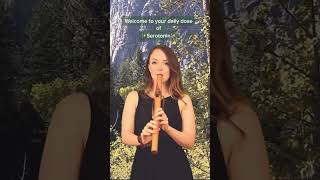 ✨Calming minute 😌✨ Breathe in, breathe out. #flute #nativeamericanflute #nativeamericanstyleflute