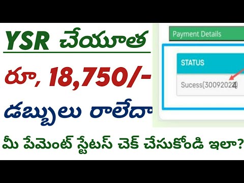 ysr cheyutha 2024 payment status telugu || ysr cheyutha 2024 payment#connectingchandra