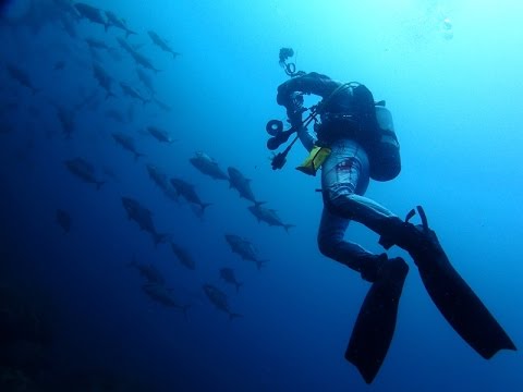 八丈島ダイビングツアー2017年GW