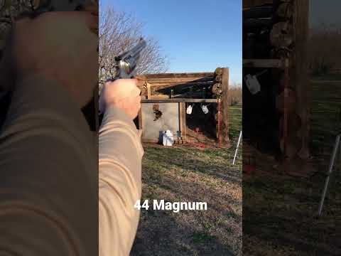 44 Special vs. 44 Magnum