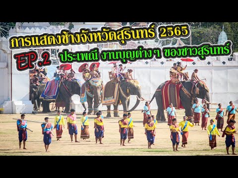 การแสดงช้างจังหวัดสุรินทร์ 2565 EP.2 ประเพณี งานบุญต่างๆ ของชาวสุรินทร์