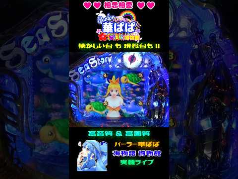 🐠美しき「奥から魚群」🐠🏴‍☠️ハイパー海物語 IN カリブ🏴‍☠️✨アドベンチャーモード・マリンリーチ✨【 パーラー華ぱぱ・海物語 博物館 】ショート動画 #shorts