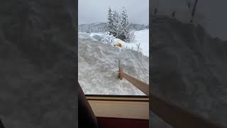 部屋から雪おろし⛄️ 屋根の雪切り　Snow removal in Japan#山形県#除雪#雪おろし#ASMR