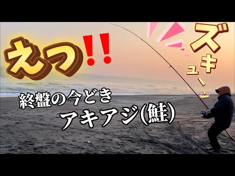 【北海道】【釣り】アキアジ（鮭）終盤ってことは！今がチャンス当然まだ釣れるんです！