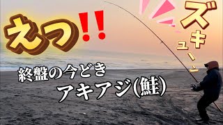 【北海道】【釣り】アキアジ（鮭）終盤ってことは！今がチャンス当然まだ釣れるんです！