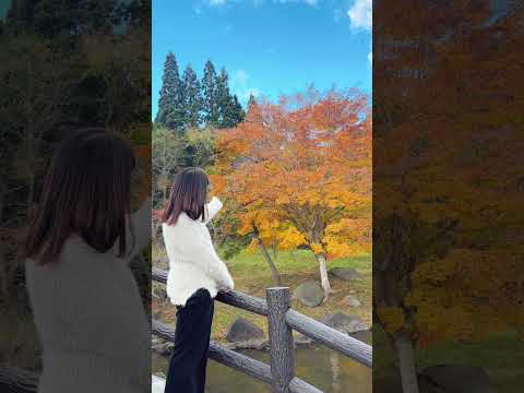 【函館】紅葉｜新中野ダム