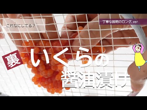 【ザクザクとれる！いくらをほぐす】裏ワザといくらの醤油漬けのレシピ