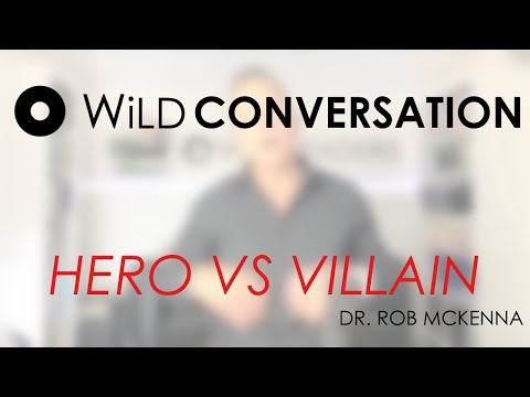 WiLD Conversation: HERO VS VILLAIN