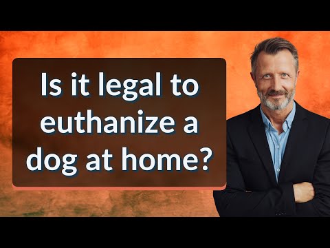 Is it legal to euthanize a dog at home?