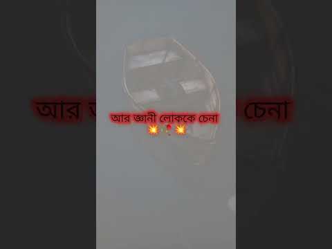 নির্বোধকে চেনা যায় তার বক্তব্য থেকে #shorts