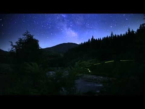 Time Lapse #079 ほたる舞う川内川 Dancing firefly in Kawauchigawa　2013-07